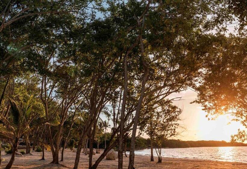 هتل Sofitel Barú Calablanca