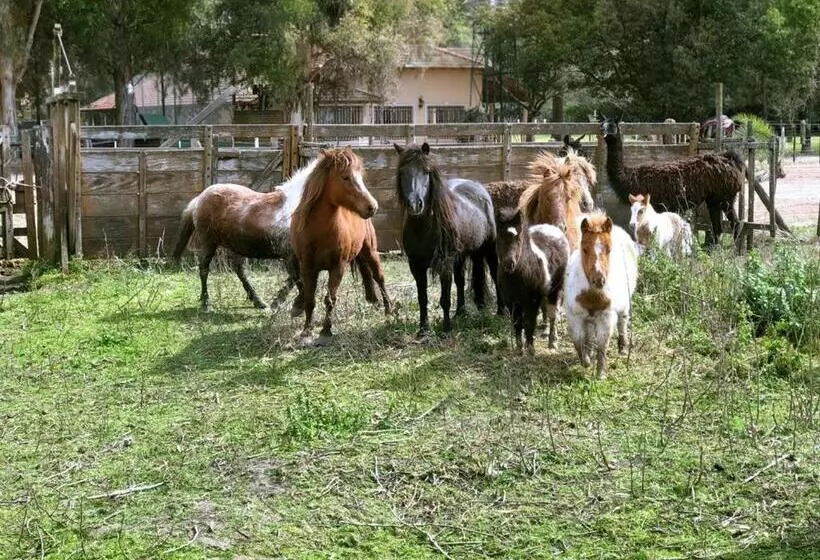 リゾートホテル Estancia Don Pedro