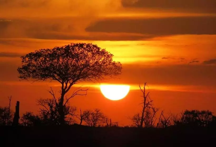 ホテル Nsele Safari Lodge