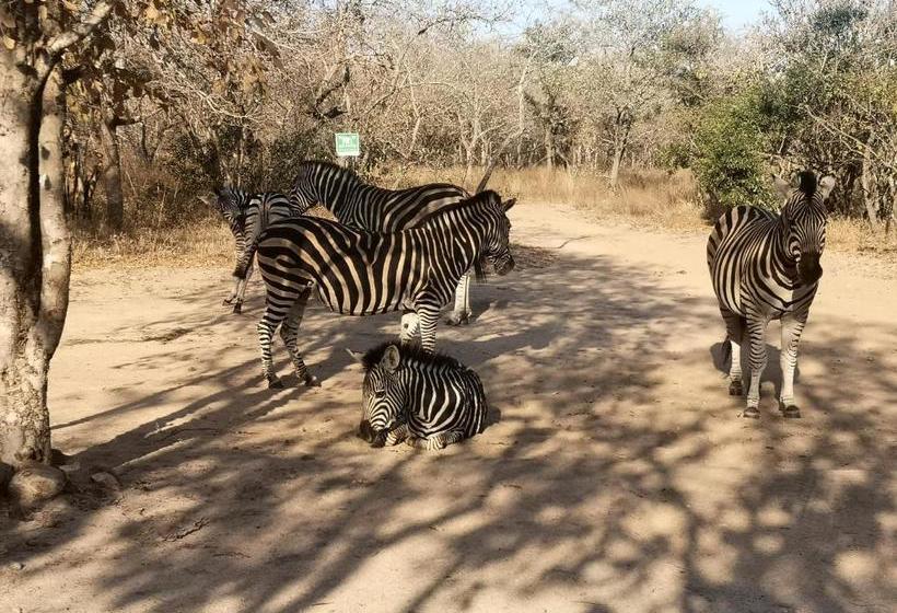 호텔 Nsele Safari Lodge