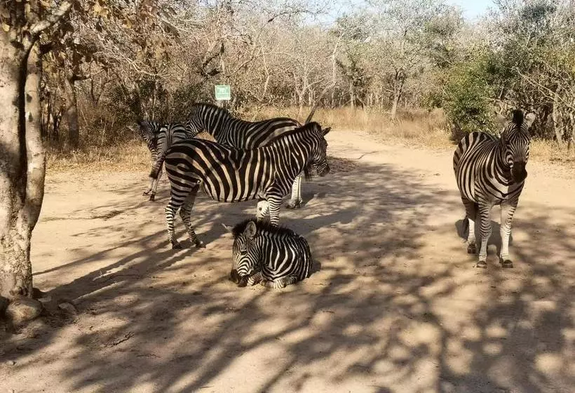 ホテル Nsele Safari Lodge