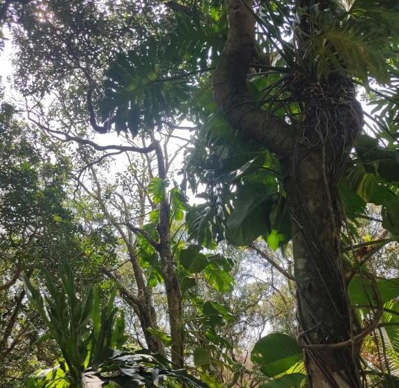 膳宿费 Nalua Guest House