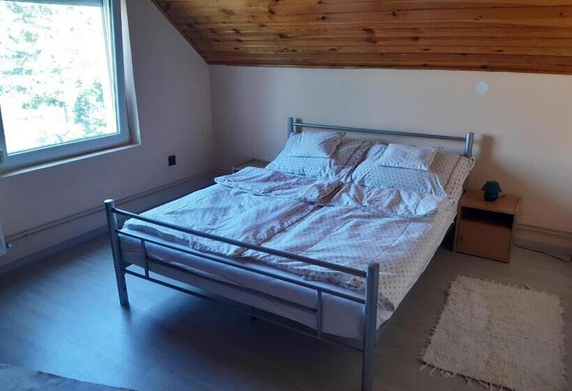 بنسيون Toldi Apartman