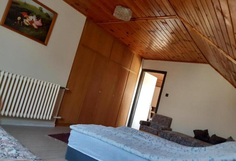 بنسيون Toldi Apartman