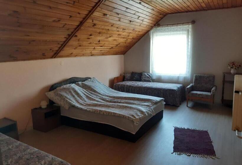بنسيون Toldi Apartman