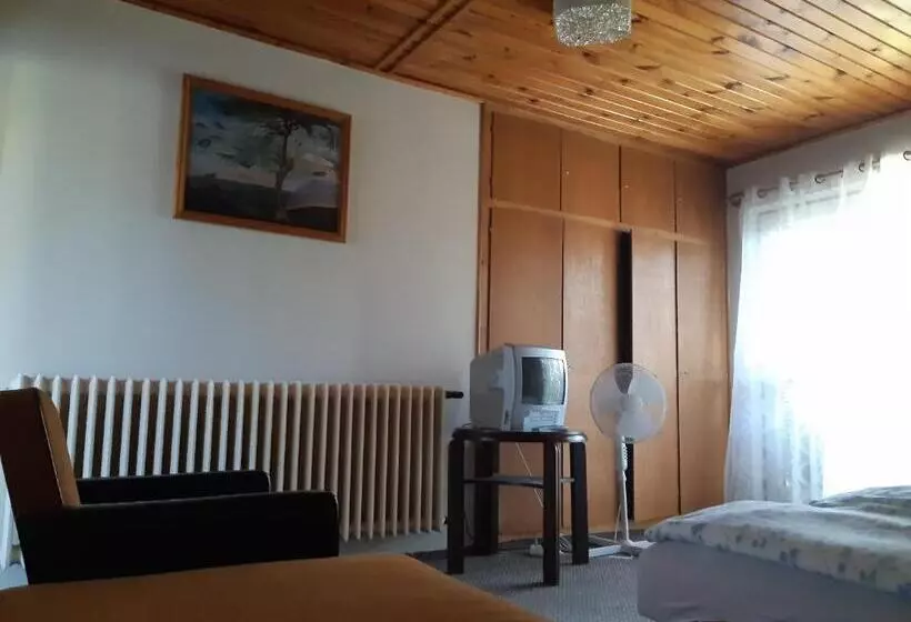 ペンション Toldi Apartman