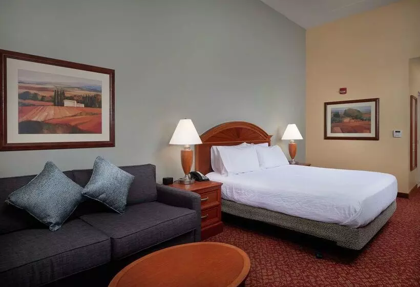 هتل Hilton Garden Inn Newport News
