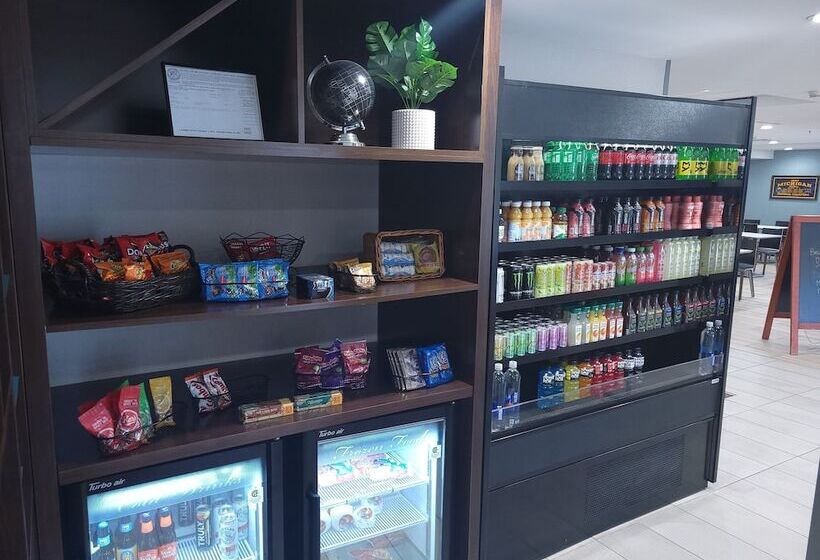 هتل Holiday Inn & Suites Ann Arbor Univ Michigan Area By Ihg