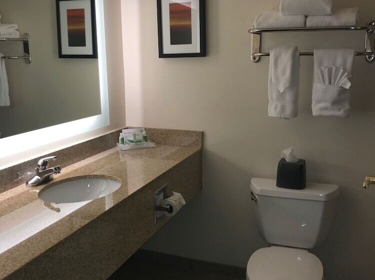 هتل Holiday Inn & Suites Ann Arbor Univ Michigan Area By Ihg
