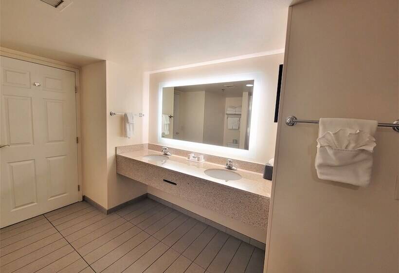 هتل Holiday Inn & Suites Ann Arbor Univ Michigan Area By Ihg