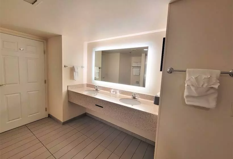 Szálloda Holiday Inn & Suites Ann Arbor Univ Michigan Area By Ihg