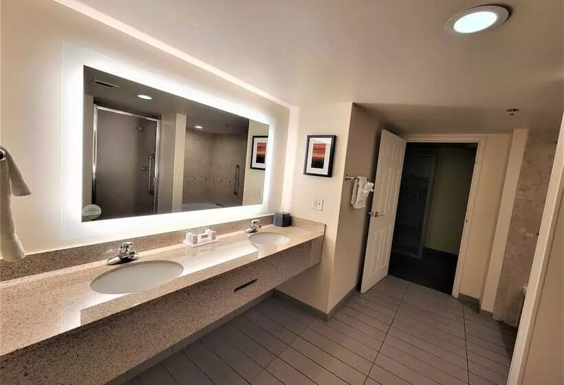 Szálloda Holiday Inn & Suites Ann Arbor Univ Michigan Area By Ihg