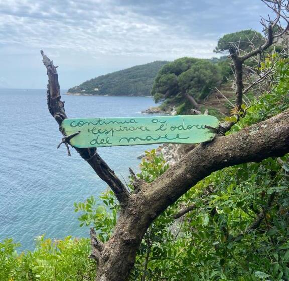 Отель Rio Sul Mare