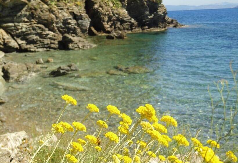 Отель Rio Sul Mare