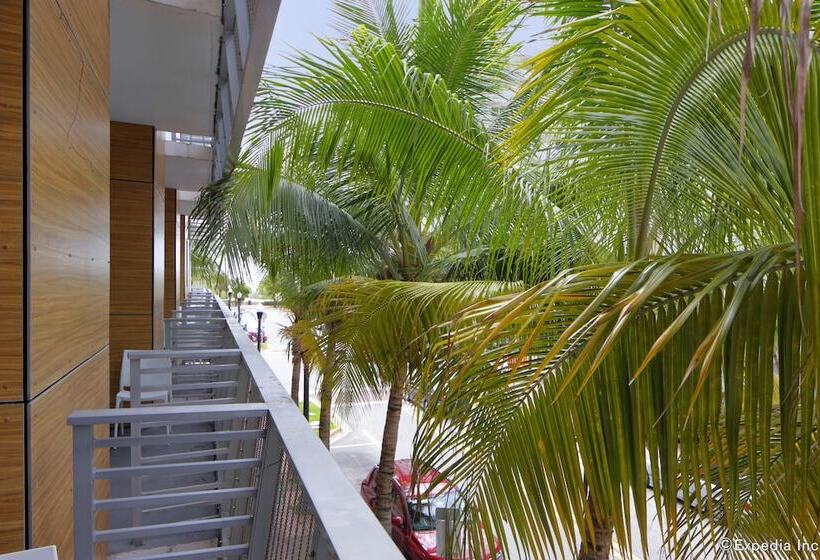 فندق The Local House