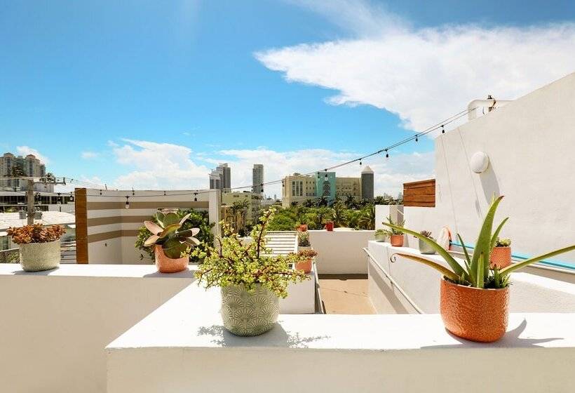 فندق The Local House