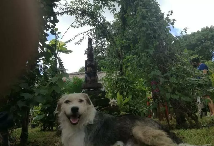 Retkeilymaja Posada Ixchel