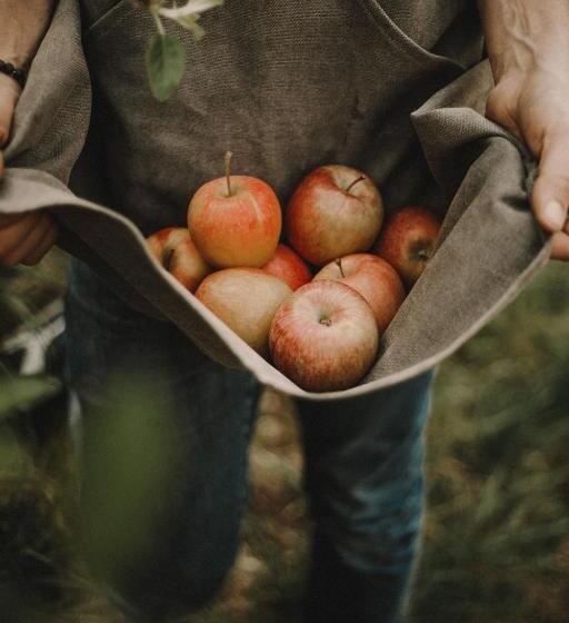 Apfelhotel Torgglerhof
