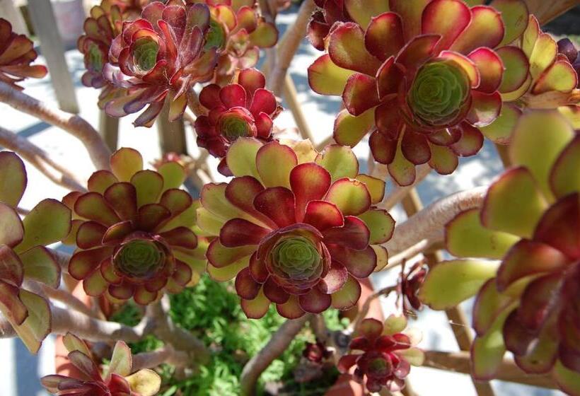 住宿加早餐 Andrea E Valentina