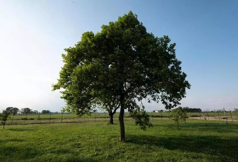 هتل Agriturismo Cascina Graziosa