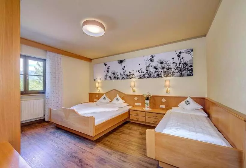 Hotelli Alpenhof Lodge