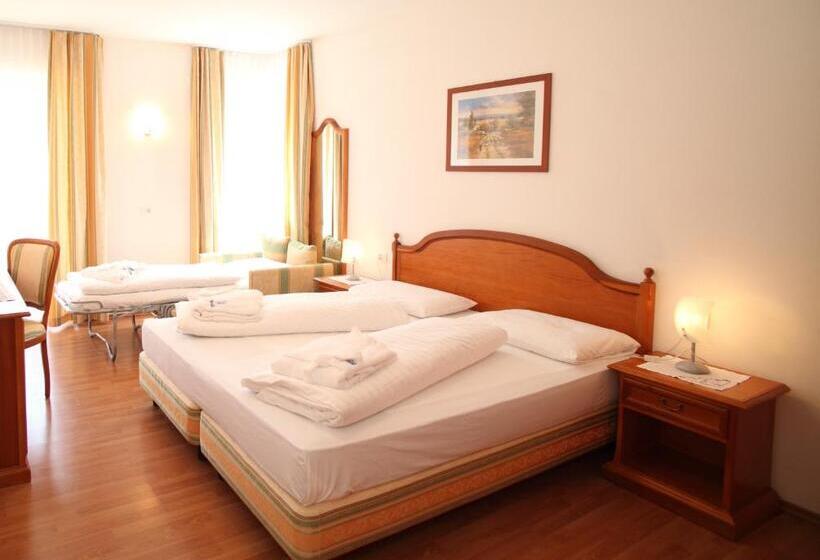 בית מלון כפרי Bad Salomonsbrunn