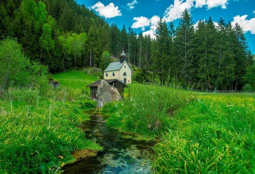 בית מלון כפרי Bad Salomonsbrunn