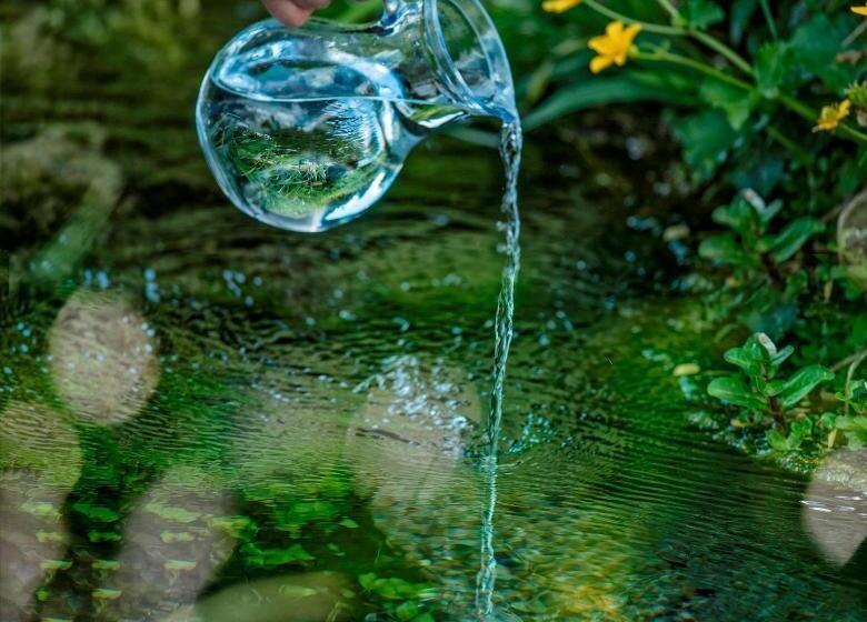 בית מלון כפרי Bad Salomonsbrunn