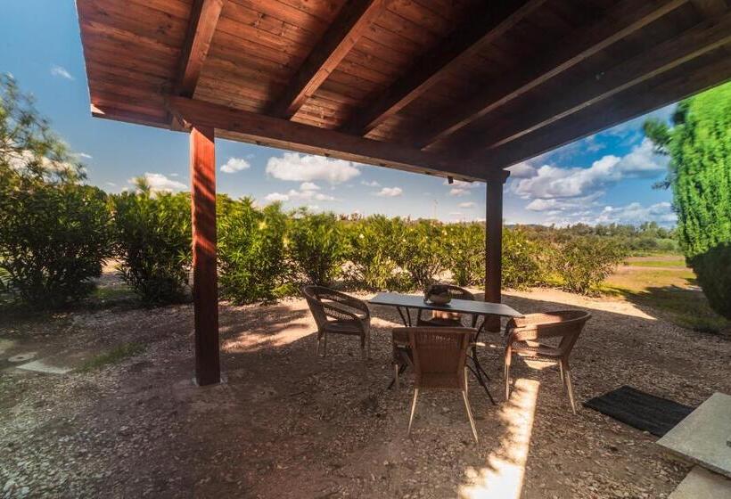 فندق Bonsai B&b Alghero