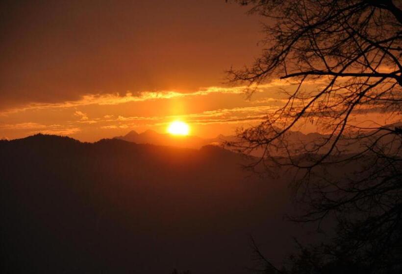 Отель Gasthof Wieser