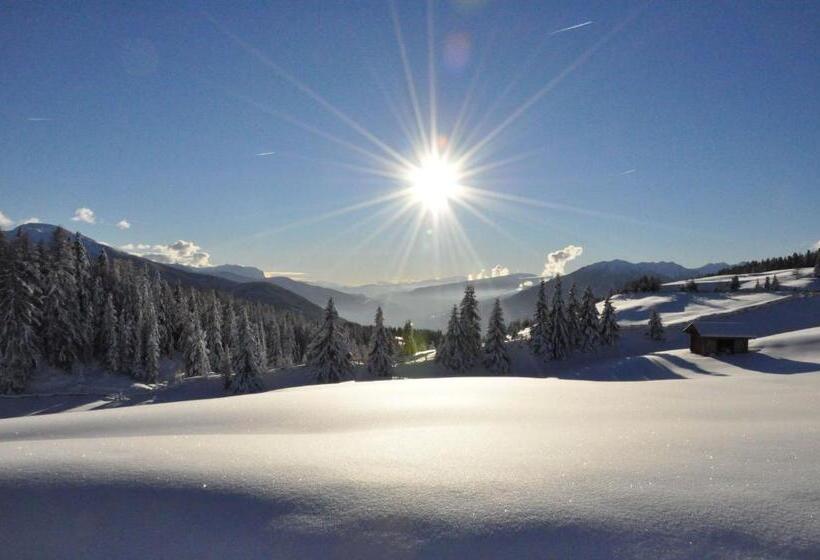 Отель Gasthof Wieser