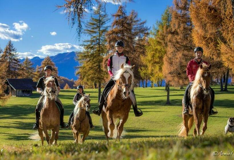 酒店 & Gasthof Zum Hirschen