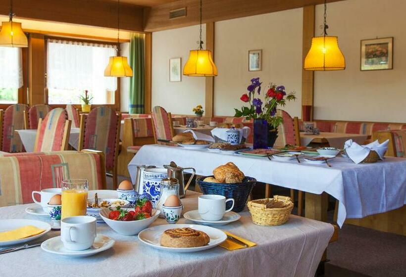 酒店 Pension An Der Mayenburg