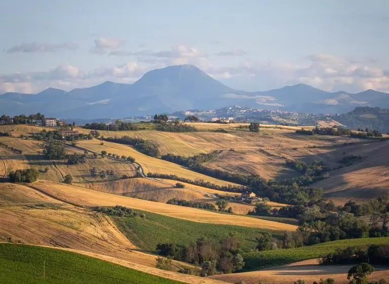 ホテル Tenuta San Marcello