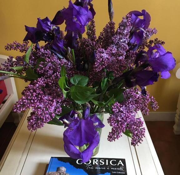 פנסיון Casa Meridiana