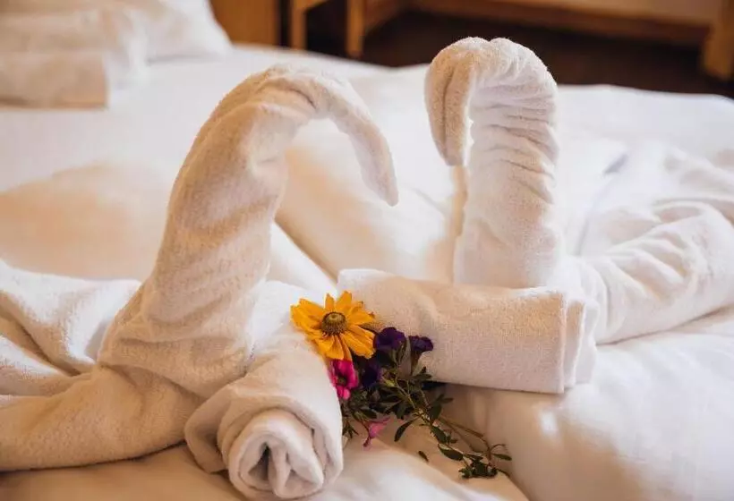 Aparthotel Maso Corto