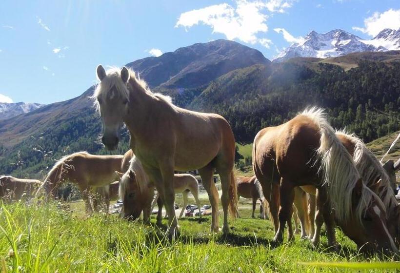 Aparthotel Maso Corto