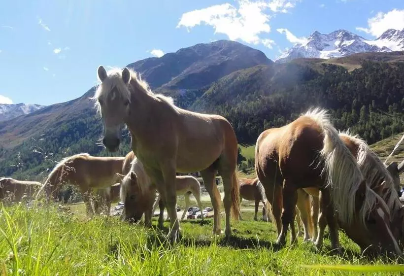 Aparthotel Maso Corto