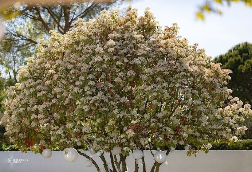 مبيت وإفطار Croissant De Lune