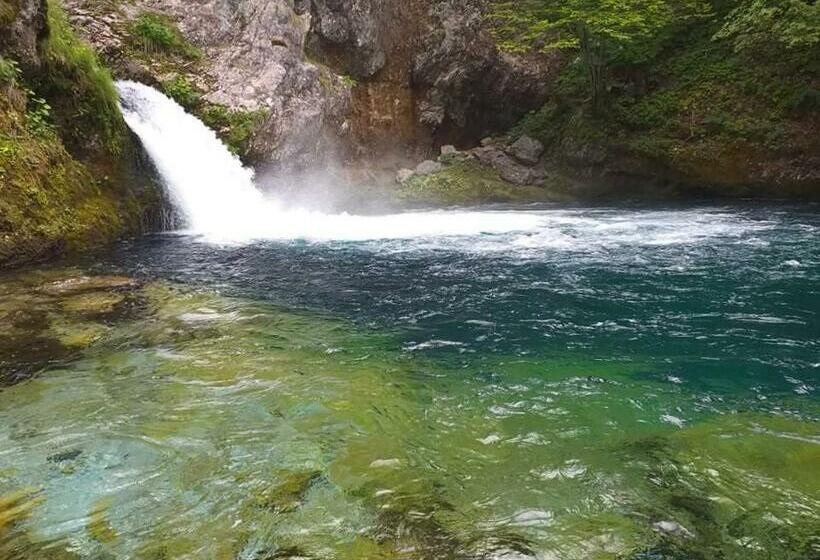 פנסיון Bujtina 2