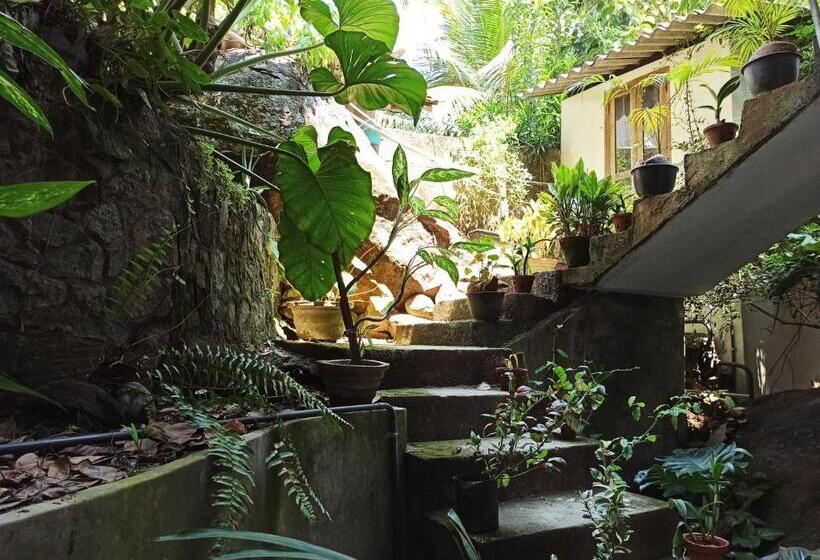 צימר Butterfly Jewel