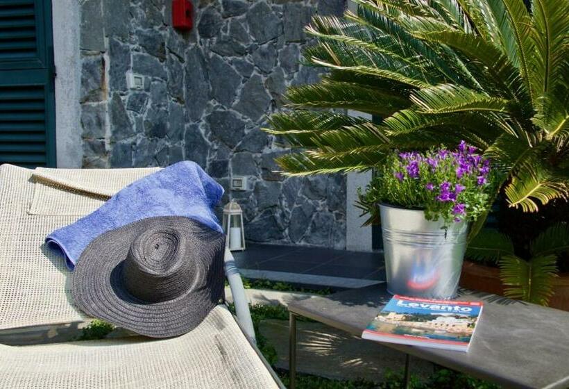 بنسيون La Gerbera