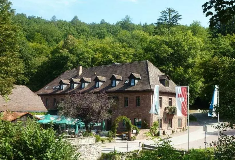 هتل Gasthof Buchenmühle