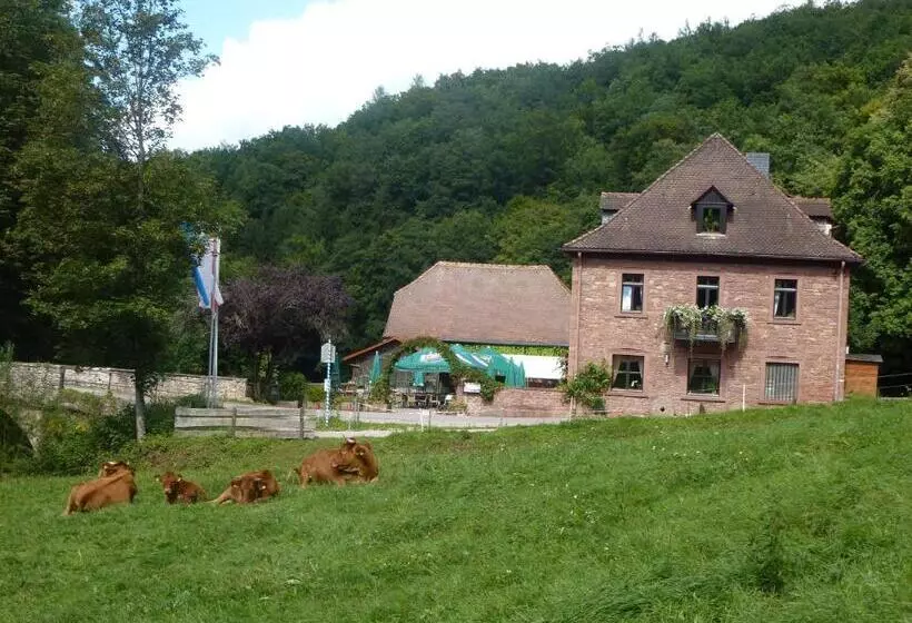 هتل Gasthof Buchenmühle