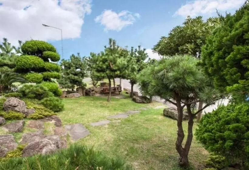 هتل Jeju Badagasuimteo Pension