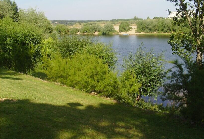 Отель Casa João Chagas Guesthouse, Constância