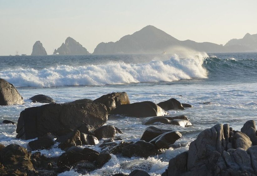 هتل Club Regina Los Cabos