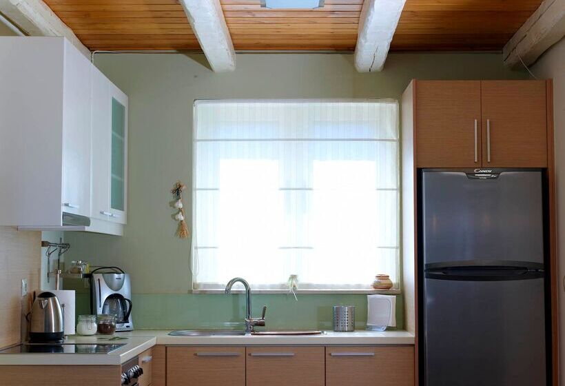 酒店 Eliathos Residence Houses