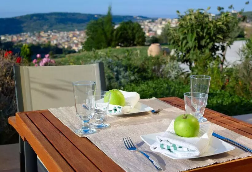 酒店 Eliathos Residence Houses