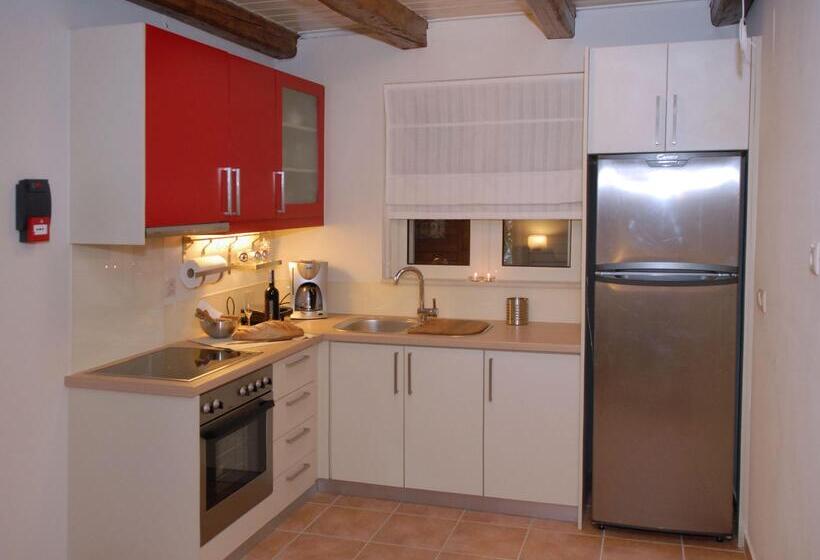 酒店 Eliathos Residence Houses